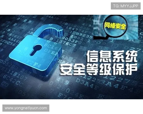 安博国际官网：安博国际官网的安全保障措施与用户数据保护策略