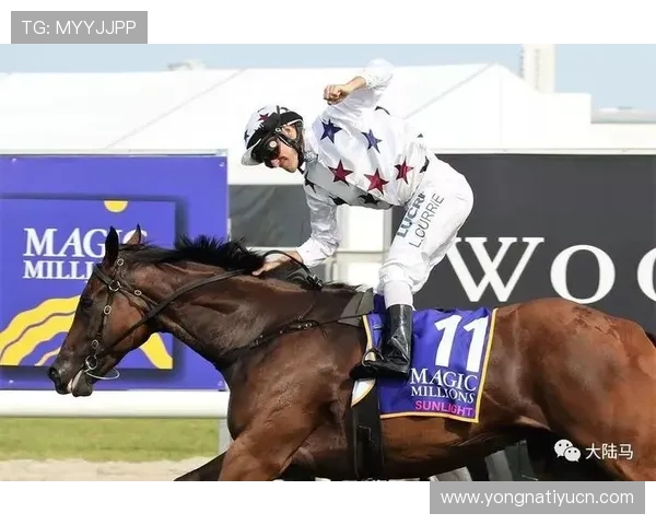 如何通过CMP体育官方官网快速了解最新体育赛事信息与赛程安排